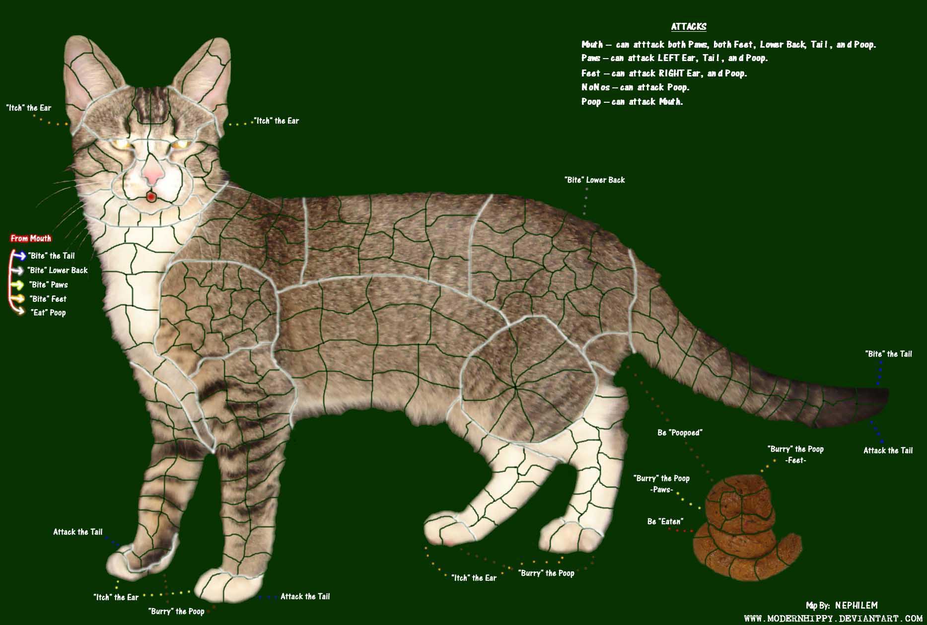 the map